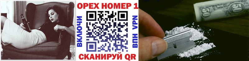 где купить наркоту  Павловская  Cocaine Эквадор 