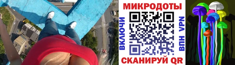 купить закладку  Павловская  Псилоцибиновые грибы GOLDEN TEACHER 