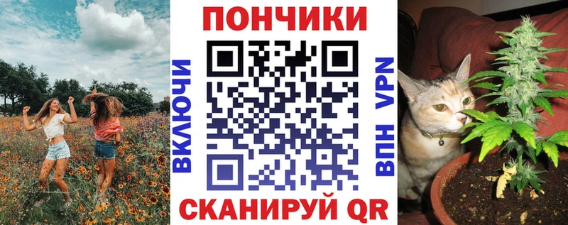 Шишки марихуана ГИДРОПОН Павловская